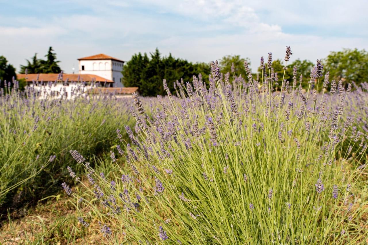Agriturismo Colombare Teboi Lazise Ngoại thất bức ảnh